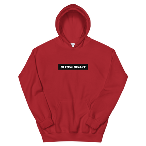 Beyond Binary Hoodie